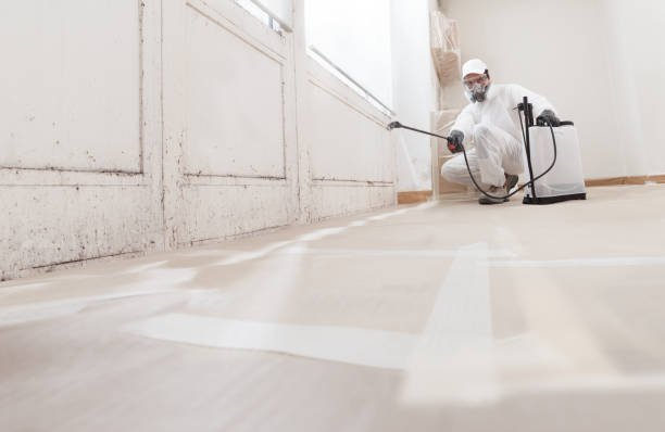 24/7 Emergency Mold Remediation experts in Hillsdale, MI